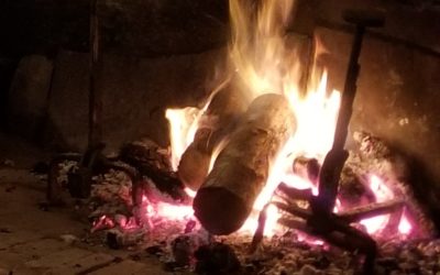 Contée aux chataignes